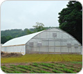 Landscaping & Growing Supplies - TekSupply