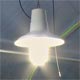 Light Fixtures & Bulbs - TekSupply