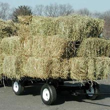 Agricultural Supplies - Farm Wagons &amp; Trailers - EZ-Haul Utility Trailer w/ Hitch & Deck