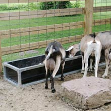 New Products - Stay Clean Brute Feed Bunks