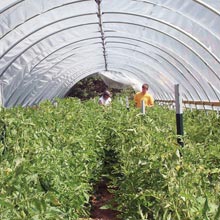 High Tunnel Growing - TekSupply