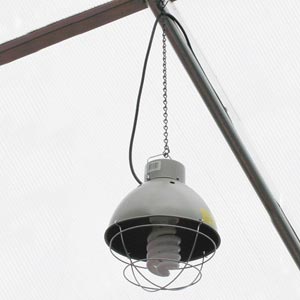 Indoor Lighting - Heavy-Duty Greenhouse Fixture with 55 Watt CFL Lamp