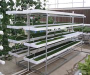 Demonstration Greenhouses - TekSupply