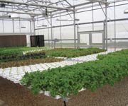 Demonstration Greenhouses - TekSupply