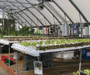 Demonstration Greenhouses - TekSupply