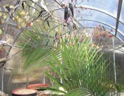 Aviary Greenhouse - TekSupply