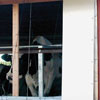Building Materials - Wall Coverings &amp; Fabrics - 16 oz. Vinyl All-Purpose Fabric - Clear