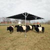Building Materials - Shade Houses &amp; Material - Add-A-Bay Shade System 10' x 20' Blocks