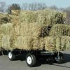 Agricultural Supplies - Farm Wagons &amp; Trailers - EZ-Haul Utility Trailer w/ Hitch & Deck