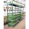 Greenhouse Accessories - Transport & Display Racks