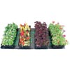 Raised Beds &amp;amp; Cold Frames - Cold Frame Accessories - Seedling Heat Mats