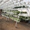 Monthly Specials - EZ-Grow Hanging Plant Display & Transport Rack - On Sale!