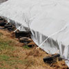 Tarps, Covers, Pond Liners - Tarps - 7.5 oz. Custom Tarps