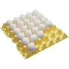 Poultry Management - Egg Handling