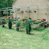 Cold Frames &amp; High Tunnels - ClearSpan Lean-To Cold Frame
