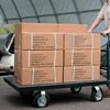Carts &amp; Wagons - EZ-Haul Platform Truck