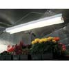  - Lighting