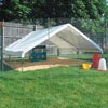 Poultry Management - Poultry Housing & Flooring