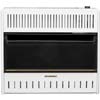 Heaters &amp; Accessories - ProCom Blue Flame Heaters