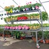 Greenhouses &amp; Accessories - Greenhouse Accessories