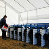 Agriculture &amp; Growing - Livestock Management