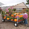 Carts &amp; Wagons - WeatherShield Canopy Wagons