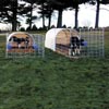 Tension Fabric Structures - Livestock &amp; Animal Housing - Small Animal Hut