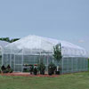 Professional Greenhouses - Majestic Connect Greenhouses - 56'-84'W