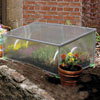 Raised Beds &amp;amp; Cold Frames - Mini Cold Frames - Backyard Hobby Cold Frame 38"L x 22"W