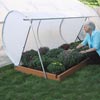Raised Beds &amp;amp; Cold Frames - Mini Cold Frames - Flip-Top Cold Frames