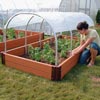 Raised Beds &amp;amp; Cold Frames - Mini Cold Frames - Mini Cold Frames