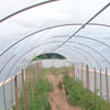 New Products - Rafter Kits for Cold Frames/Greenhouses