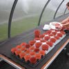 Lawn &amp;amp; Garden - Covers, Blankets &amp; Matting - Capillary Mats