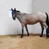 Livestock Management - Animal Stables &amp; Pens - PolyMax Plastic Wallboard