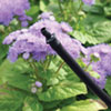 Lawn &amp;amp; Garden - Lawn Watering - Flexible Risers with 1/4" Barb