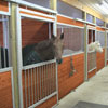 Livestock Management - Animal Stables &amp; Pens - Champion Horse Stall Systems