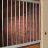 Livestock Management - Animal Stables &amp; Pens - Champion Horse Stall Accessories