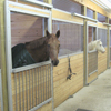 Livestock Management - Animal Stables & Pens