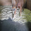 Building Materials - Building Flooring - Protectorlok Interlocking Stall Mat