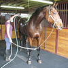 Building Materials - Building Flooring - Winners Circle Rubber Ring Mat