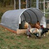 Livestock &amp; Agricultural Buildings - ClearSpan Mini Grab Bag Shelters