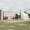 Tension Fabric Structures - Livestock &amp; Animal Housing - Premium Moo-Tel