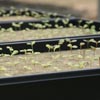 New Products - Growing Mediums