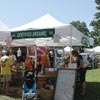 Monthly Specials - Foldable Gazebos - On Sale!