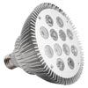 Monthly Specials - Infinity LED Spot Lamps - On Sale!