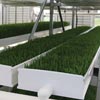 New Products - Fodder-Pro 2.0 Feed Systems & Accessories