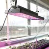 New Products - Grow-Well LED Grow Lights