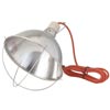 Poultry Management - Poultry Lights, Brooders, & Heaters