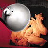 Lighting Fixtures &amp; Bulbs - Brooder Lights