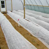 New Products - FrostGuard Row Covers